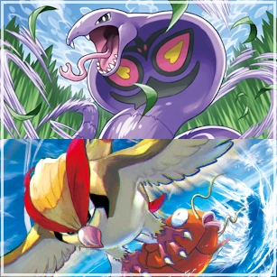 Arbok Pidgeot deck